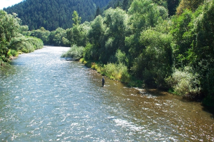 Camping Borová Sihoť ** - zdjęcie 4