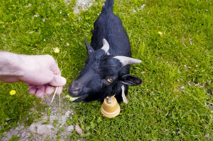 zobacz camping - zdjęcie 2