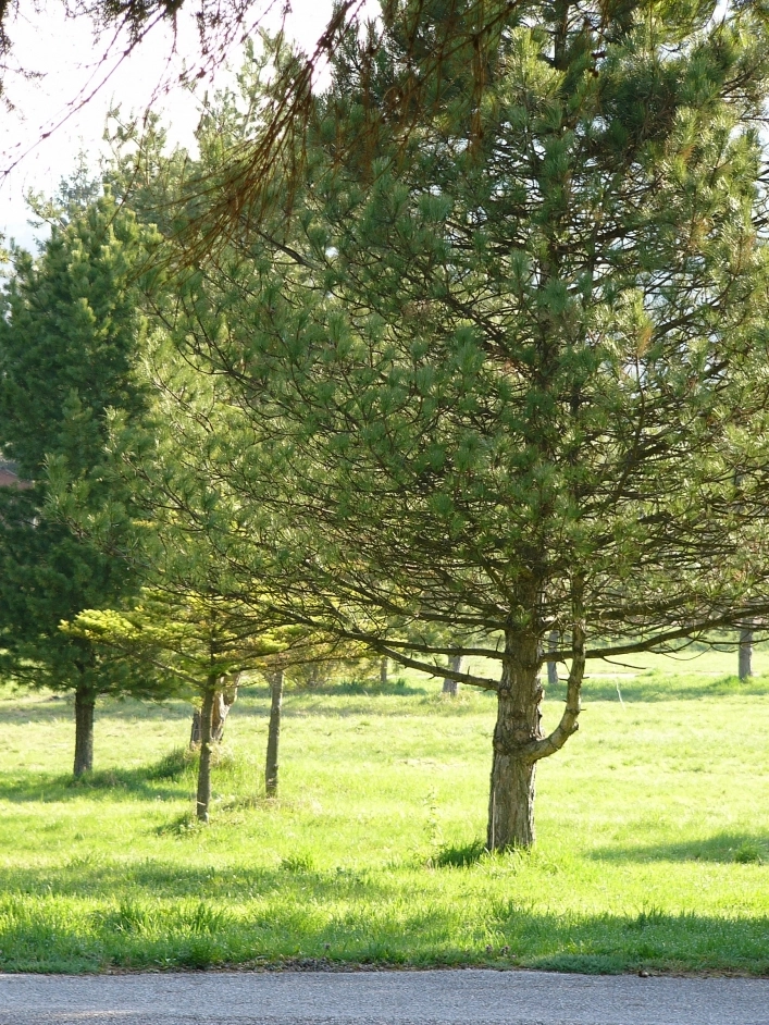 zobacz camping - zdjęcie 22