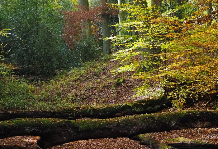 zobacz camping - zdjęcie 12