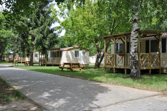 zobacz camping - zdjęcie 16