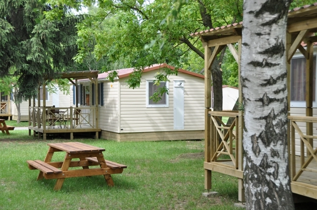 zobacz camping - zdjęcie 14