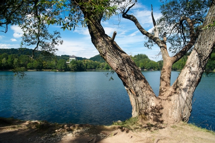 zobacz camping - zdjęcie 5