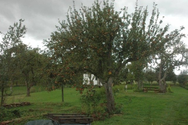 Kemping Penzión Sokol * - zdjęcie 2