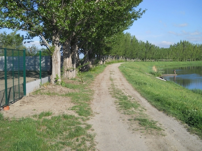 zobacz camping - zdjęcie 19