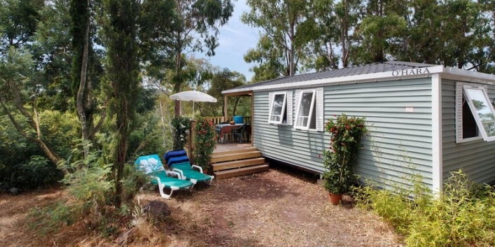 gallery - zdjęcie 7