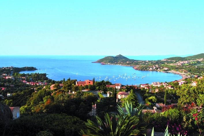 gallery - zdjęcie 15