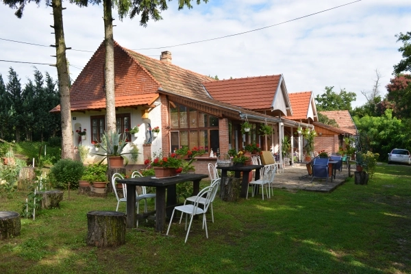 zobacz camping - zdjęcie 9