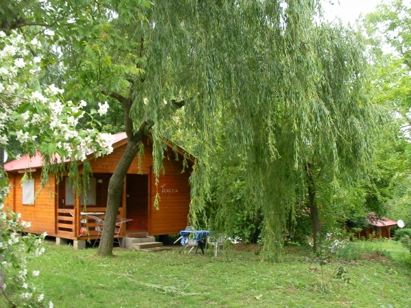 zobacz camping - zdjęcie 8