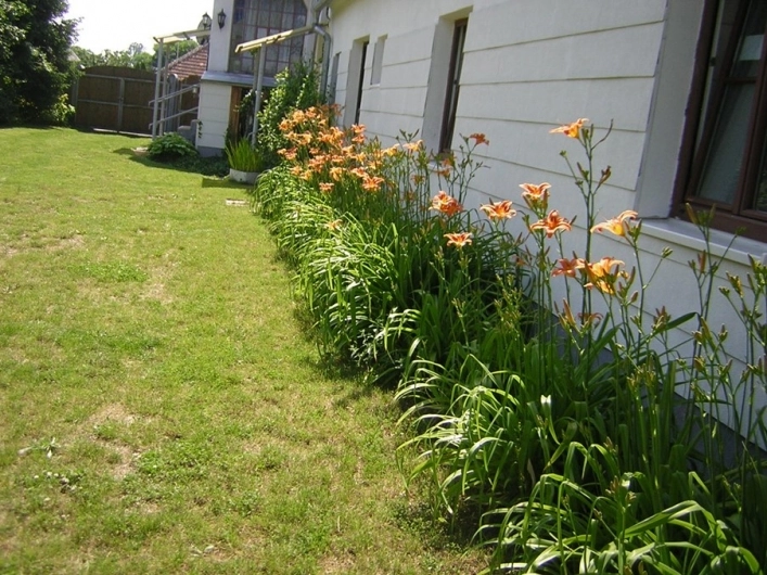 Alsana Camping - Ferienhaus - zdjęcie 3