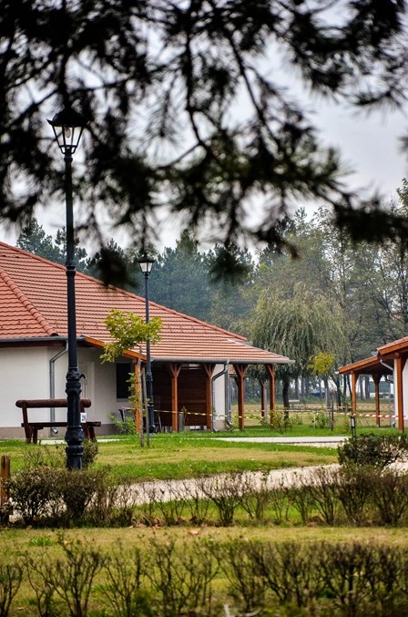 zobacz camping - zdjęcie 10