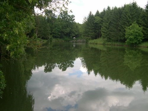 zobacz camping - zdjęcie 8