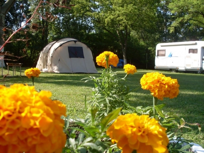 zobacz camping - zdjęcie 16