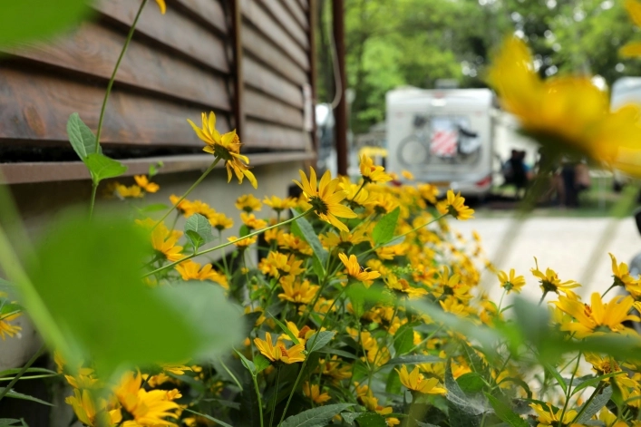 zobacz camping - zdjęcie 31