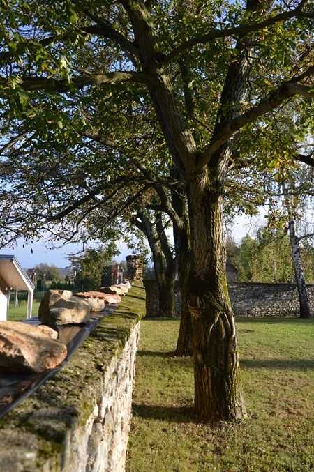 Bagolyvár Fogadó & Bakonyi Camping - zdjęcie 2