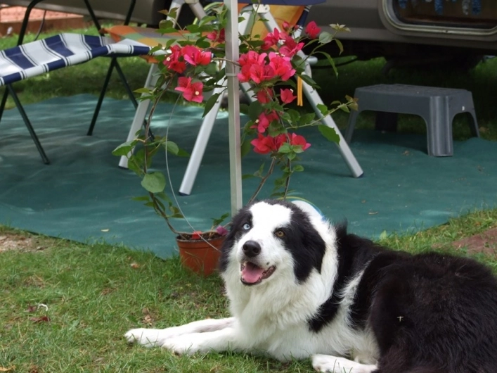 zobacz camping - zdjęcie 9