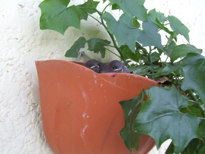 zobacz camping - zdjęcie 2