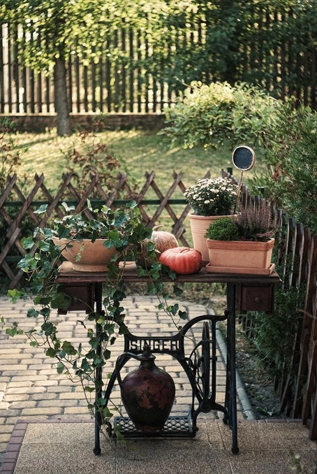 zobacz camping - zdjęcie 12