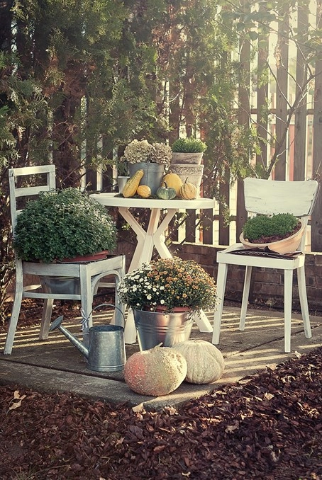 zobacz camping - zdjęcie 11