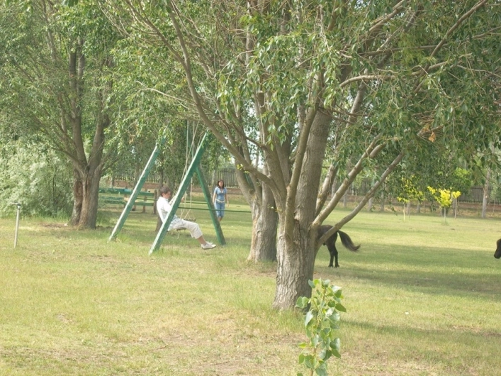 zobacz camping - zdjęcie 6