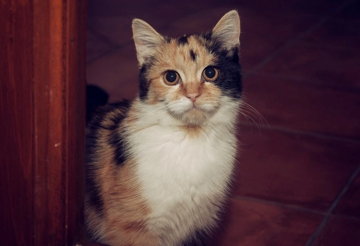 zobacz camping - zdjęcie 1