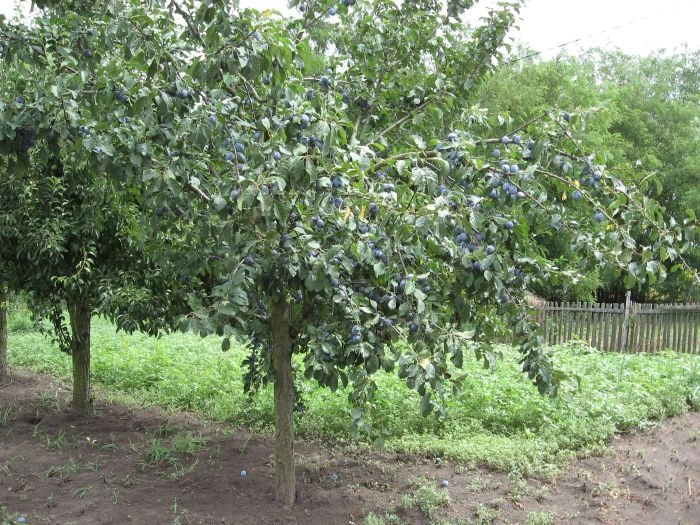 zobacz camping - zdjęcie 12