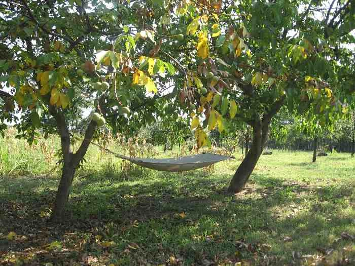 zobacz camping - zdjęcie 1