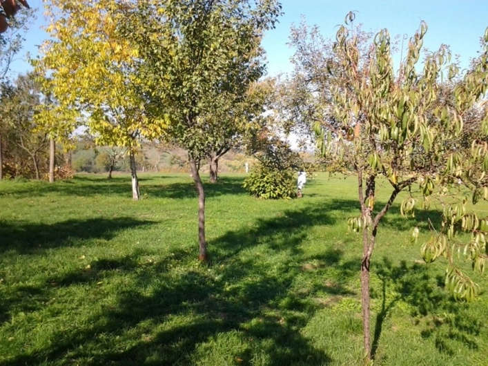 zobacz camping - zdjęcie 6