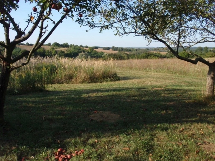 Camping Farkas - zdjęcie 2