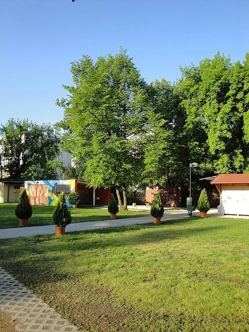 zobacz camping - zdjęcie 16