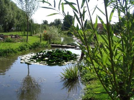 zobacz camping - zdjęcie 14