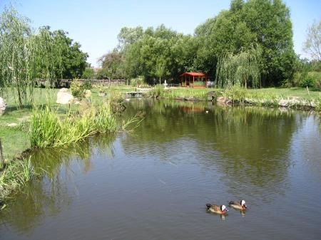 zobacz camping - zdjęcie 13