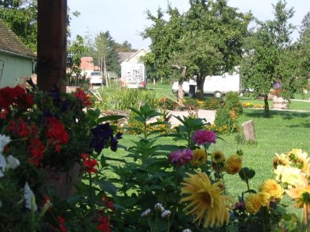 zobacz camping - zdjęcie 9