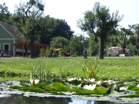 Camping Idyll - zdjęcie 4