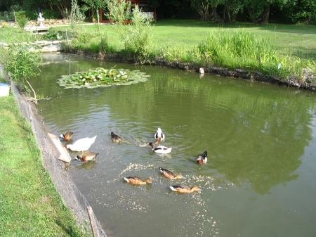 Camping Idyll - zdjęcie 2