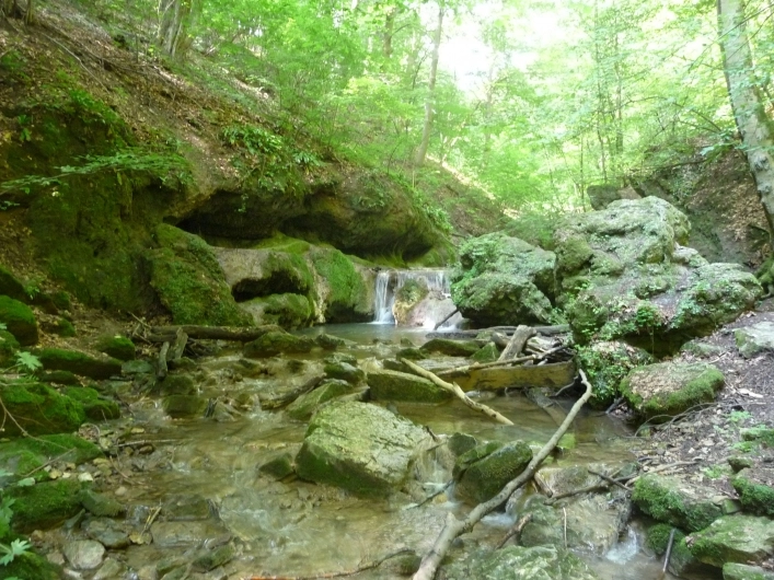 zobacz camping - zdjęcie 19