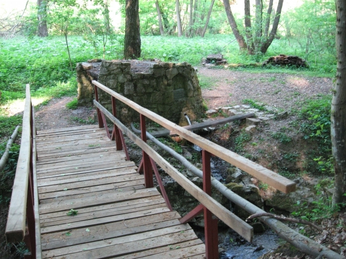 zobacz camping - zdjęcie 16