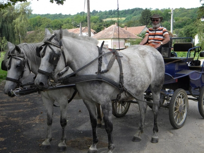 zobacz camping - zdjęcie 15