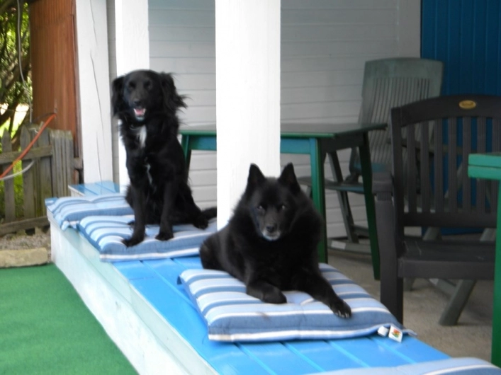 Camping Mindszent - zdjęcie 1