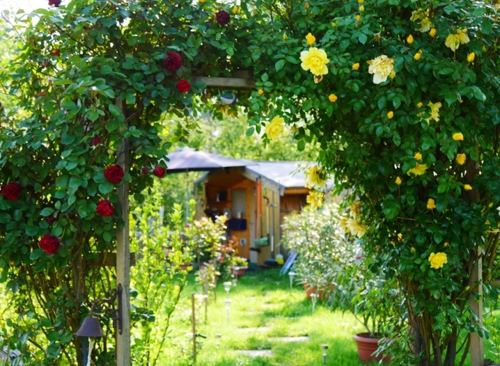 zobacz camping - zdjęcie 15