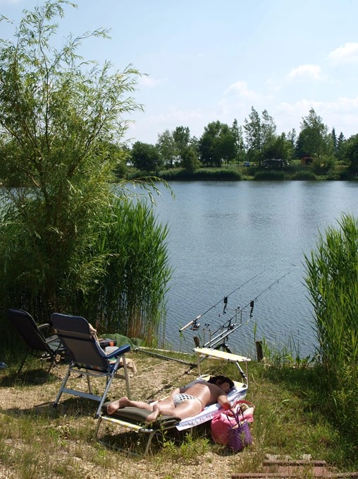 zobacz camping - zdjęcie 9