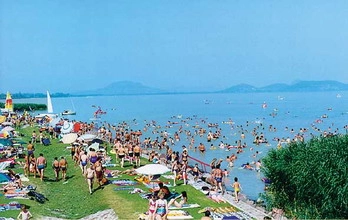 zobacz camping - zdjęcie 26