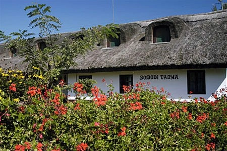 zobacz camping - zdjęcie 8