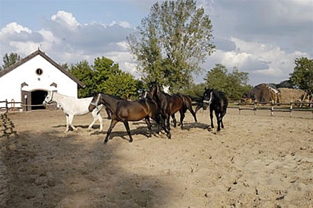 zobacz camping - zdjęcie 7