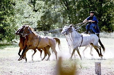 zobacz camping - zdjęcie 6