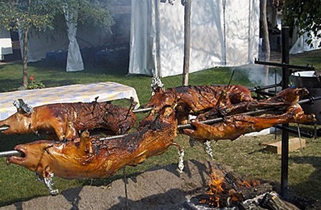 zobacz camping - zdjęcie 4