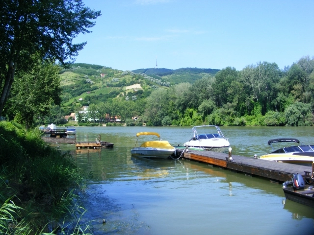 zobacz camping - zdjęcie 5