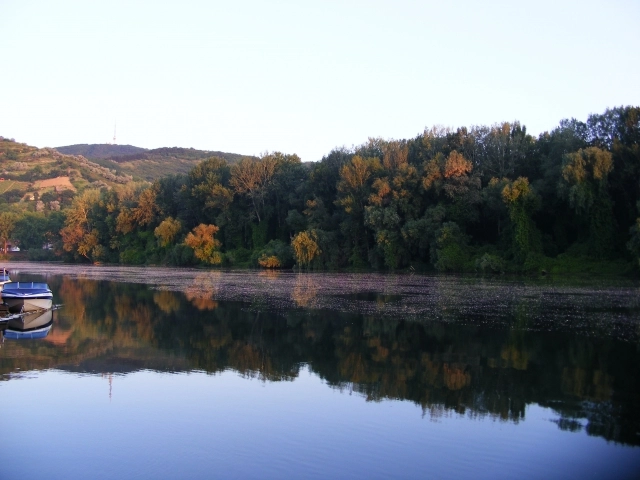Campingplatz Tiszavirág - zdjęcie 1