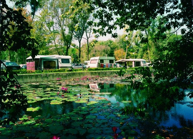 zobacz camping - zdjęcie 18