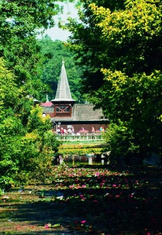 zobacz camping - zdjęcie 4